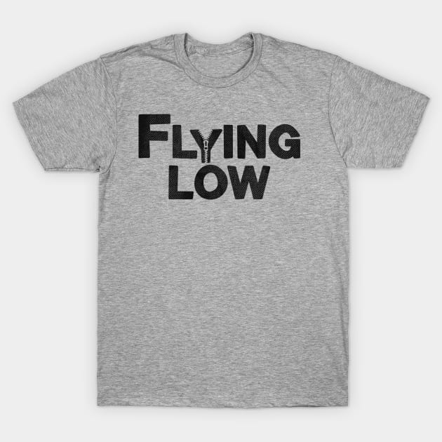 Flying Low T-Shirt by jamesnotjim